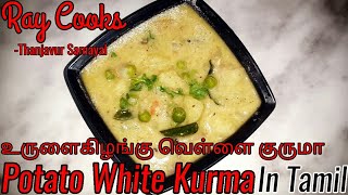 Potato Vellai Kurma Recipe in Tamil  உருளைகிழங்கு வெள்ளை குருமா  Ray Cooks  Thanjavur Samayal [upl. by Anyar667]