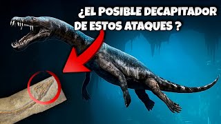 Nothosaurus El Falso Reptil [upl. by Lyckman]