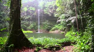 Natur Meditation  Regenwald Sounds und Regen [upl. by Dymphia]