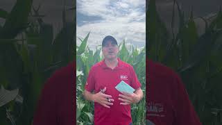 15th Annual Great Lakes Grain 2024 Crop Assessment Tour [upl. by Sumerlin]