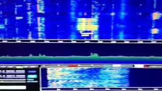 SDRplay RSP as a panadapter synchronised with Kenwood TS590 [upl. by Yoccm674]