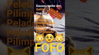 que fofinho né🥹 Gatito ético peletico pilimplipetico pelado peludo pilimplipudo [upl. by Culosio]