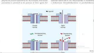 Skeletal Muscle Relaxants  Katzung  Online session for DPT students UrduHindi [upl. by Naus]