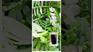 யாருக்கெல்லாம் இது தெரியும்Best hair oil for growth and dandruffherbs [upl. by Eibber202]