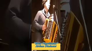 quotBrise Napolitainequot Jérôme Dhainaut accordeon musique accordionplayer music jeromedhainaut [upl. by Ahtebat]