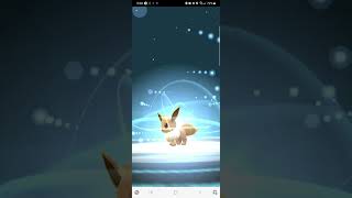 Evolving eevee into espeon evolve pokemon mobilegame viralshort [upl. by Adnwahsat478]