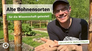 Alte Sorten Stangenbohnen und Buschbohnen für die Wissenschaft getestet 🔬 Citizen ScienceINCREASE [upl. by Nivert]