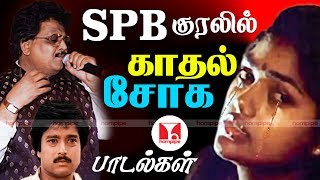 SPB குரலில் காதல் சோகப் பாடல்கள்  Super Hit Sad Tamil Songs Collections  Hornpipe Record Label [upl. by Waddle]