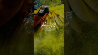 Part31 Daliy talwat Quran pak khubsurat awaz mashallah islamicvideo sabscribe viralshorts viwe [upl. by Levison]