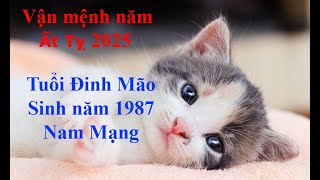 Tử vi Tuổi Đinh Mão 1987 Nam mạng năm Ất Tỵ 2025 Sự nghiệp tài vận tình duyên và gia đạo [upl. by Rozalin]