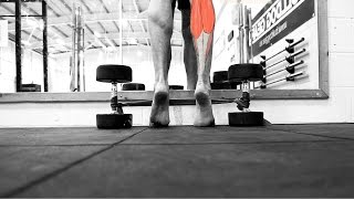 Calf Raises  Gastrocnemius [upl. by Rooker]