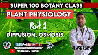 Plant Physiology part 1 DiffusionOsmosis  Water relation  plasmolysisImbibition  Absorption [upl. by Yzzo]