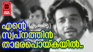 Ente Swapnathin  Achaani 1973  KJ Yesudas  P Bhaskaran  G Devarajan  Film Songs [upl. by Akenal85]