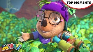 Dottys Top Mystery Solving Moments 🔎  Best of Moley  moley kidstv animatedseries cartoons [upl. by Hannus]