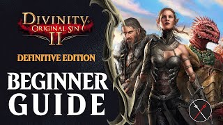 Divinity Original Sin 2  InDepth Look At Character Creation [upl. by Ahsiekel672]