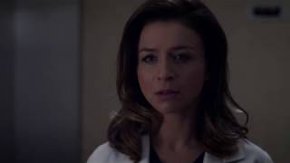 Greys anatomy Amelia Super Hero FULL talk S11E14 [upl. by Emerson]