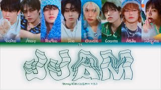 Stray Kids JJAM ПЕРЕВОД НА РУССКИЙКИРИЛЛИЗАЦИЯ Color Coded Lyrics [upl. by Delahk]