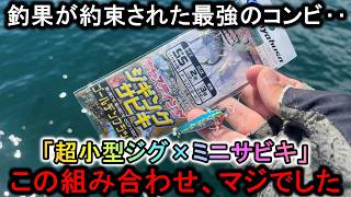 釣果が約束される仕掛け「小型ジグミニサビキ」はド日中でも青物を狂わせ堤防を無双します [upl. by Annoiek733]