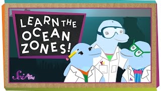 Lets Learn the Ocean Zones [upl. by Shannah]