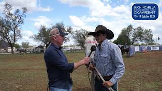 CC with Cameron Webster at Chinchilla Campdraft [upl. by Llevol296]