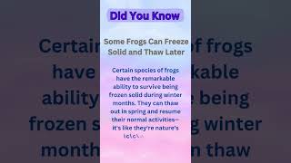 Freezing Frog frog frogs animalworld animal animals didyouknow interestingfacts science [upl. by Egan]