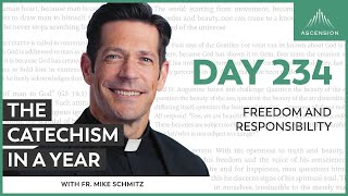 Day 234 Freedom and Responsibility — The Catechism in a Year with Fr Mike Schmitz [upl. by Benedikta]