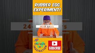 Easy DIY Rubber Egg Experiment  Short [upl. by Farly]