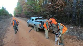 Arkansas Deer Hunting with Dogs 12 Hunts with Kill Shots [upl. by Esilanna697]