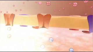 Action Potential  Functions of Neurons  Medical Animations [upl. by Chester]