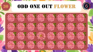 Discover Floral Diversity Find the Odd Flower  A Botanical Puzzle Game [upl. by Assille]