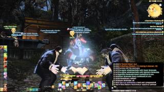 Roegadyn Grunt and Psych [upl. by Aihtnyc]