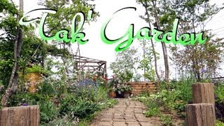 那珂市Tak Garden アストランティアマヨール、ブラックレースフラワー [upl. by Eelyk]