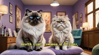 The Story of Himalayan Cats [upl. by Kendra]