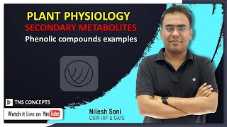 Phenolic Compounds Examples and mode of action  Nilesh Soni [upl. by Cymbre]