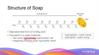 What is Saponification Structure and Action of Soaps and Detergents  HSC Chemistry [upl. by Carmelle265]