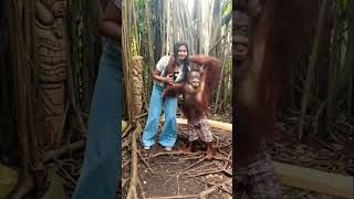 Orangutan Thailand Bangkok  Safari World Bangkok Travel Vlog  Funny Video  Viral Orangutan Video [upl. by Oilla]