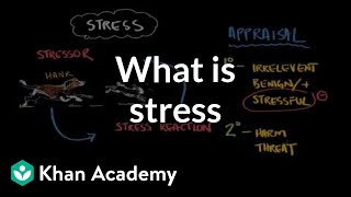 What is stress  Processing the Environment  MCAT  Khan Academy [upl. by Nachison]