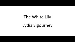 The White Lily  Lydia Sigourney [upl. by Nimzaj]