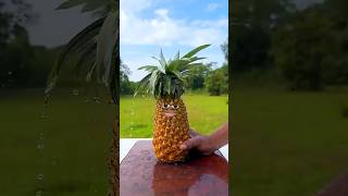 Maliks girlfriend will drink pineapple juice 🍍😁 shorts funny viralshorts [upl. by Archangel]