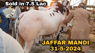 JAFFAR MANDI  31 May 2024  Eid 2024 [upl. by Trefor]