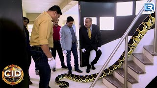 इस एक अजगर ने डाली CID TEAM की जान खतरे में  Python Attack  Best Of CID  Latest New Episode [upl. by Airakaz]