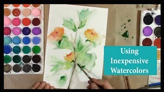 Using Inexpensive Watercolor Paints [upl. by Allene969]