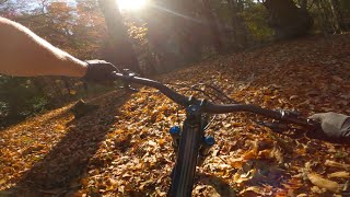 Rushmere Country Park  Ridge Riders MTB Trails [upl. by Melton40]