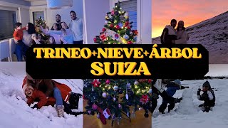 Navidad en Suiza Trineos Risas  Árbol de Navidad montado por 8 personas [upl. by Elodia119]