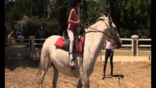 Les activités pendant vos vacances au Yelloh Village La Petite Camargue [upl. by Cheffetz]