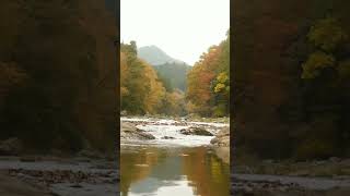 Autumn river sounds autumn river [upl. by Oirromed]