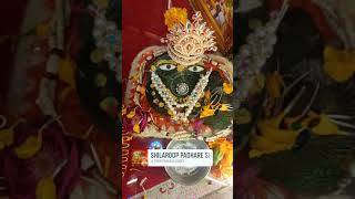 श्री शालिग्राम जी के दिव्य दर्शन [upl. by Storz]