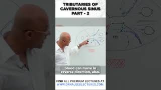 Tributaries Of Cavernous Sinus Part 02 drnajeeb drnajeeblectures shortvideo youtubeshorts [upl. by Levon539]