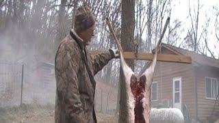 Field Dressing Skinning Butchering Large Game  Deer Excerpt [upl. by Laertnom]