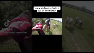 stallion attacking mare on a hack 😱🐴 equestrain shortvideos youtube viral [upl. by Ecineg]